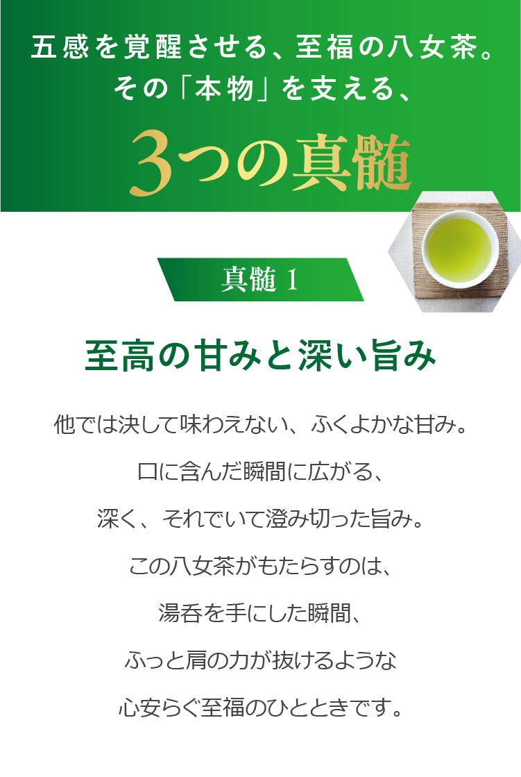 日本茶鑑定士厳選】八女茶『煎茶 光』｜深い香りと旨みのお茶 | お茶の